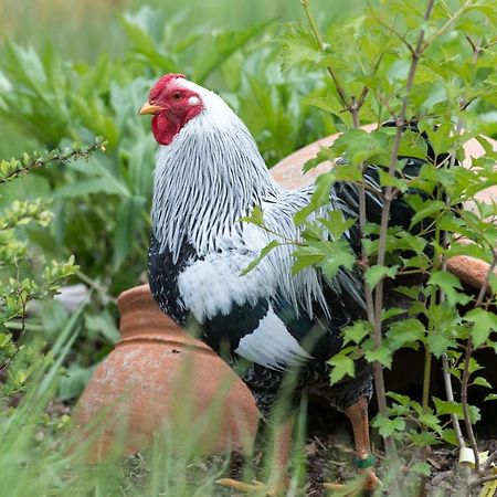 Ferienwohnung Stein Mit Sauna Hasselbach エクステリア 写真